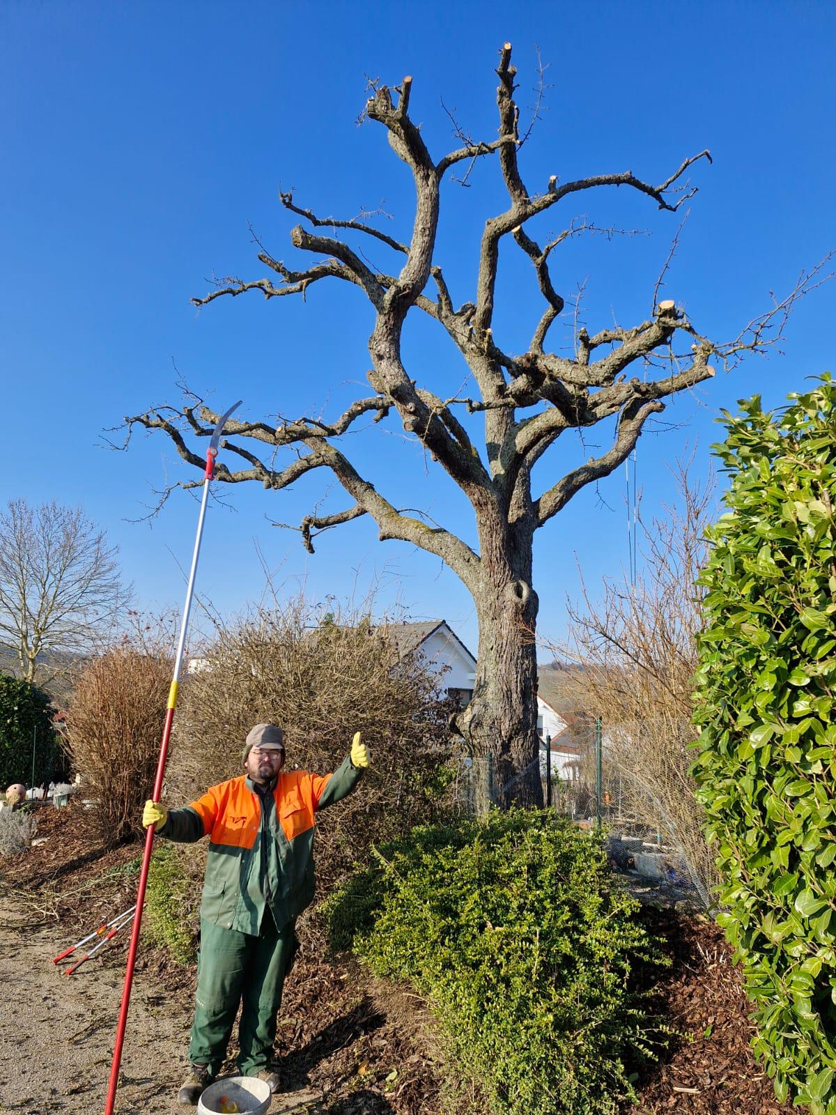 gartenarbeiten (5)